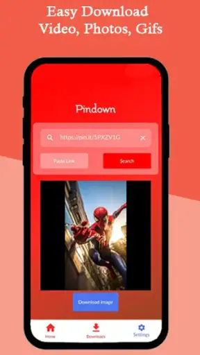 Pinterest Video Downloader screenshot