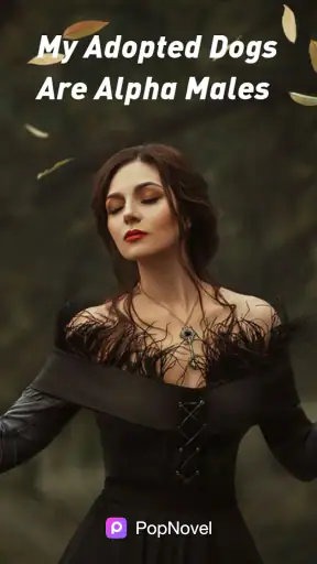 PopNovel screenshot