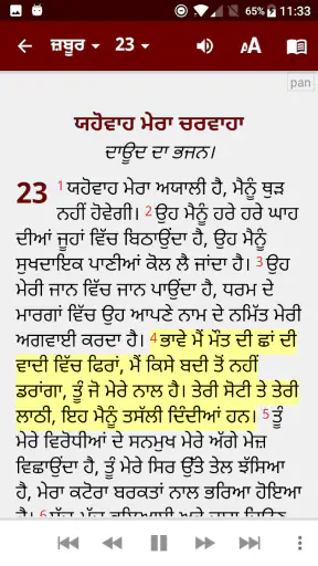 Punjabi Bible (ਪੰਜਾਬੀ ਬਾਈਬਲ) screenshot