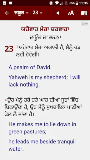 Punjabi Bible (ਪੰਜਾਬੀ ਬਾਈਬਲ) screenshot