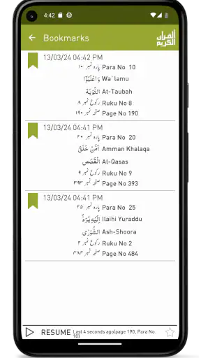 Quraan-E-Karim  (15 Lines) screenshot