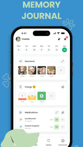 Raising Dog: Puppy Training screenshot