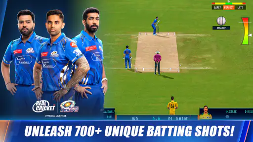 Real Cricket™ screenshot