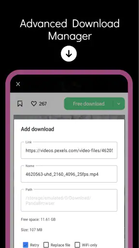 Snap Browser screenshot