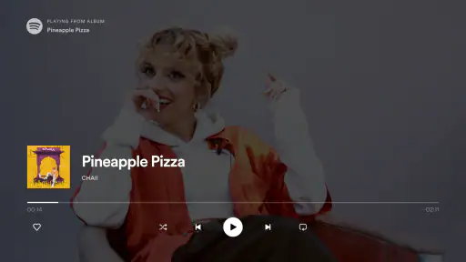 Spotify: Music & Podcasts screenshot