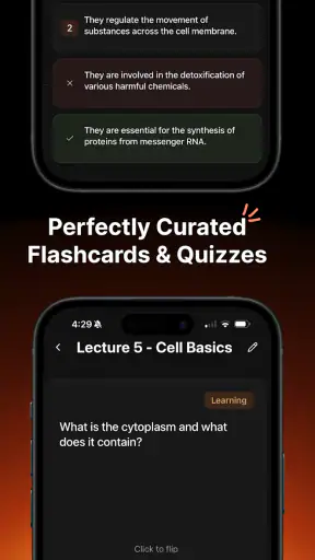 Studley AI - Get better grades screenshot