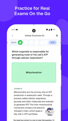 Study Fetch screenshot