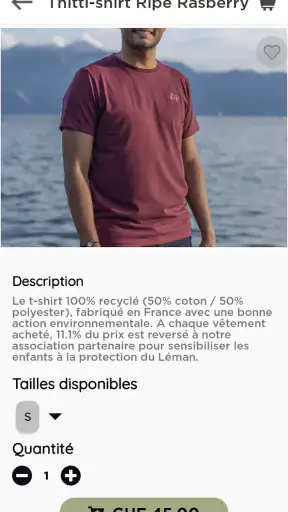 Teorem screenshot