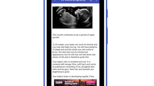 Ultrasound pregnancy guide screenshot