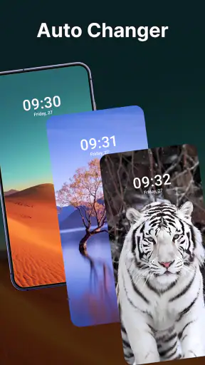 Video live wallpaper Set Video screenshot