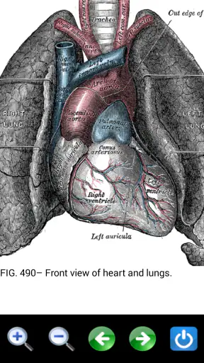 Visual Anatomy 2 screenshot