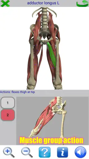 Visual Anatomy screenshot
