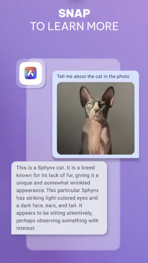 ओपेरा: VPN के साथ AI ब्राउज़र screenshot