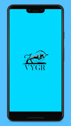 Vygr screenshot