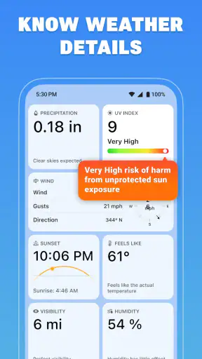Weather Frog: Local Forecast screenshot