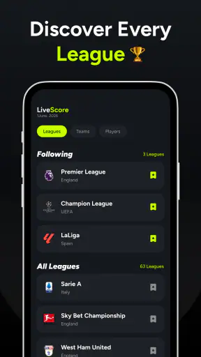 World Cup Live Scores & Stats screenshot