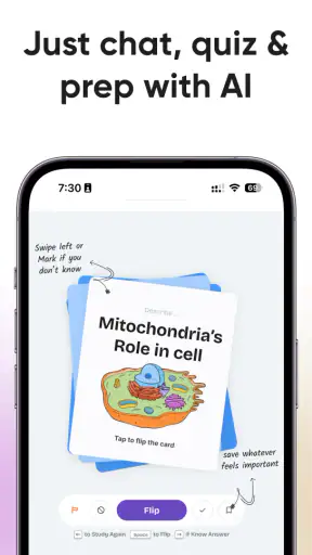 Professor Curious: AI Tutor screenshot