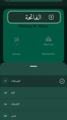 कुरान ऑडियो प्लेयर ऑफलाइन screenshot