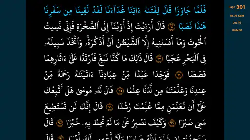 कुरान मुशफ़ (Quran Mushaf TV) screenshot
