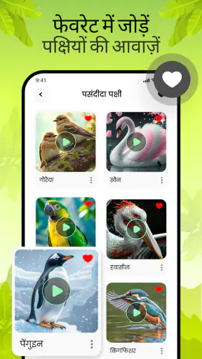 पक्षियों की आवाज़ें screenshot