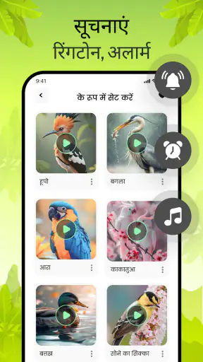 पक्षियों की आवाज़ें screenshot