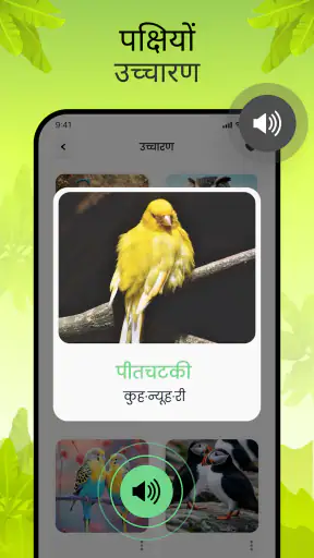 पक्षियों की आवाज़ें screenshot