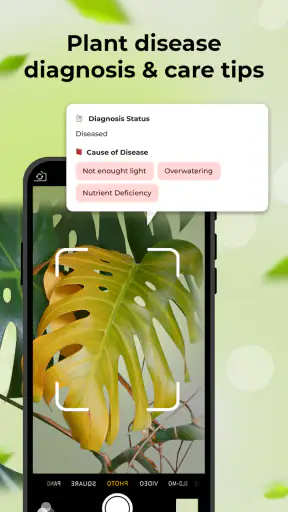 पौधे की पहचानकर्ता screenshot
