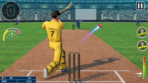विश्व चैंपियन क्रिकेट गेम 3D screenshot