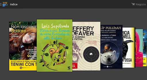 Amazon Kindle screenshot