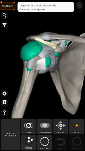 Anatomia - Atlante 3D screenshot
