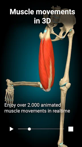 Anatomy Learning - Anatomía 3D screenshot
