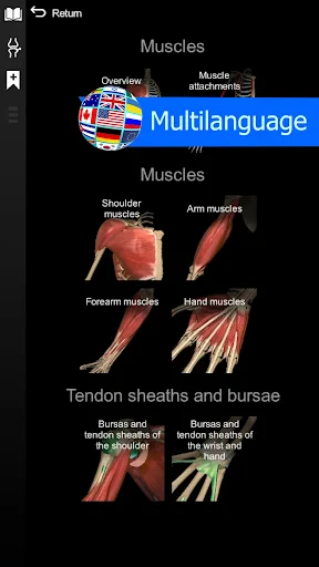 Anatomy Learning - Anatomía 3D screenshot