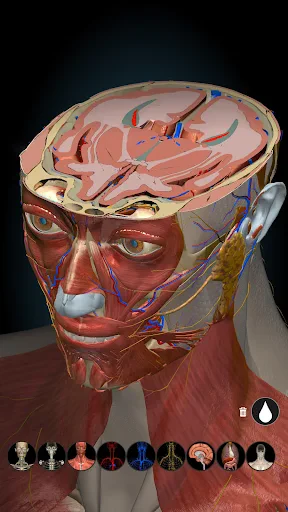 Anatomy Learning - Anatomía 3D screenshot