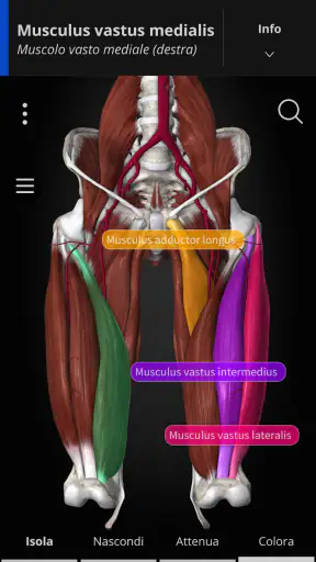 Anatomyka - Anatomia 3D screenshot