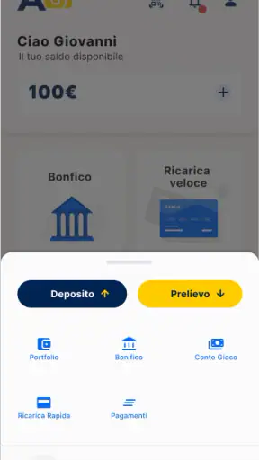 APAY E-wallet screenshot