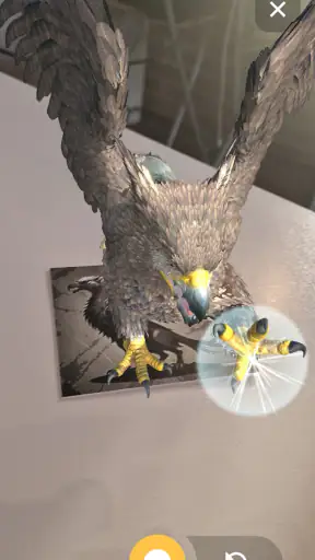 ARcanaVision screenshot