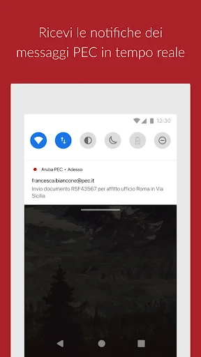 Aruba PEC screenshot