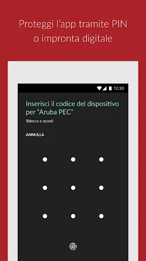 Aruba PEC screenshot