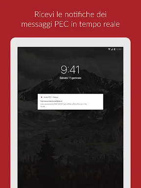 Aruba PEC screenshot