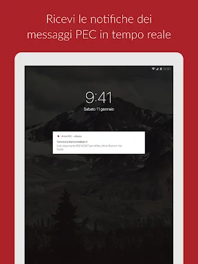Aruba PEC screenshot