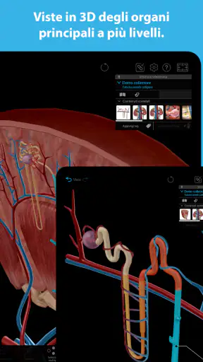 Atlante di anatomia umana 2026 screenshot