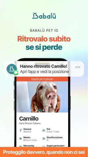 Babalù | Pet Owner->Pet Lover screenshot