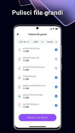 BlazeClean screenshot