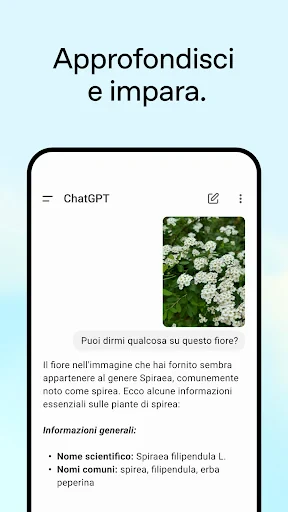 ChatGPT screenshot