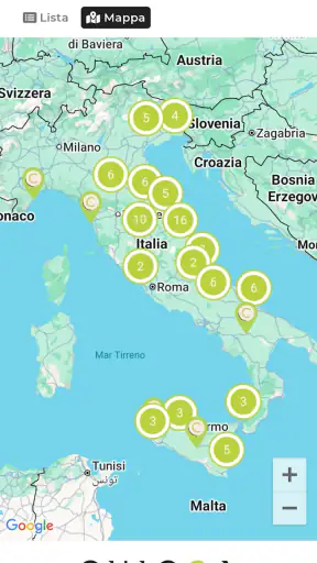 Chicca Profumerie screenshot