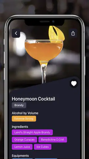 Cocktails for Real Bartender screenshot
