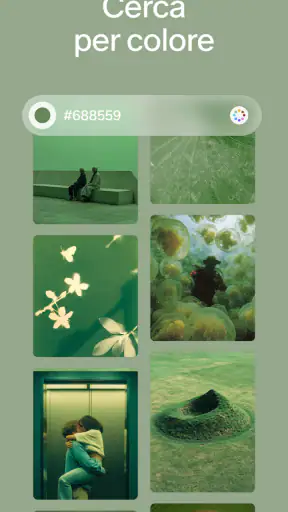 Cosmos: Cerca e Scopri screenshot