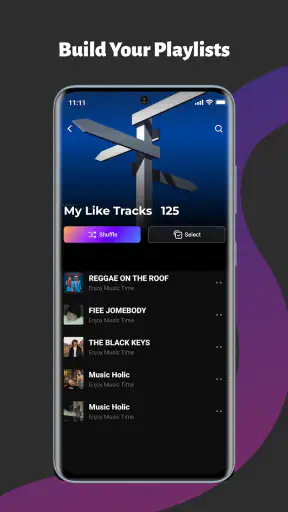 CrispTone: Offline Music screenshot