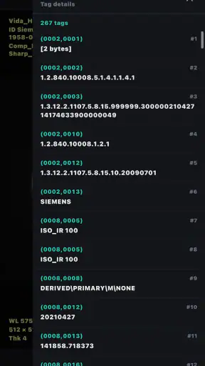 DICOM Viewer screenshot