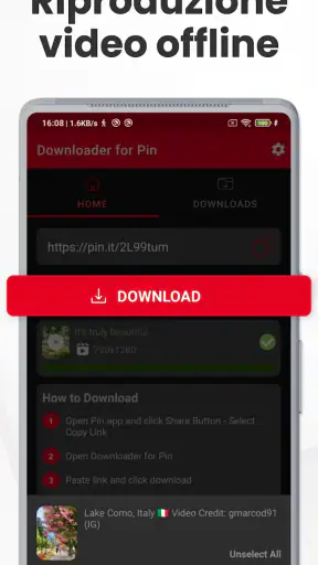 Downloader Video per Pinterest screenshot